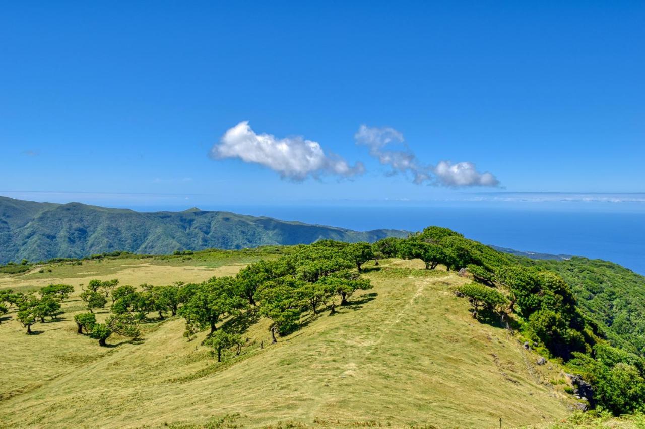 Encarnacao Apartment, A In Madeira Funchal (Madeira)