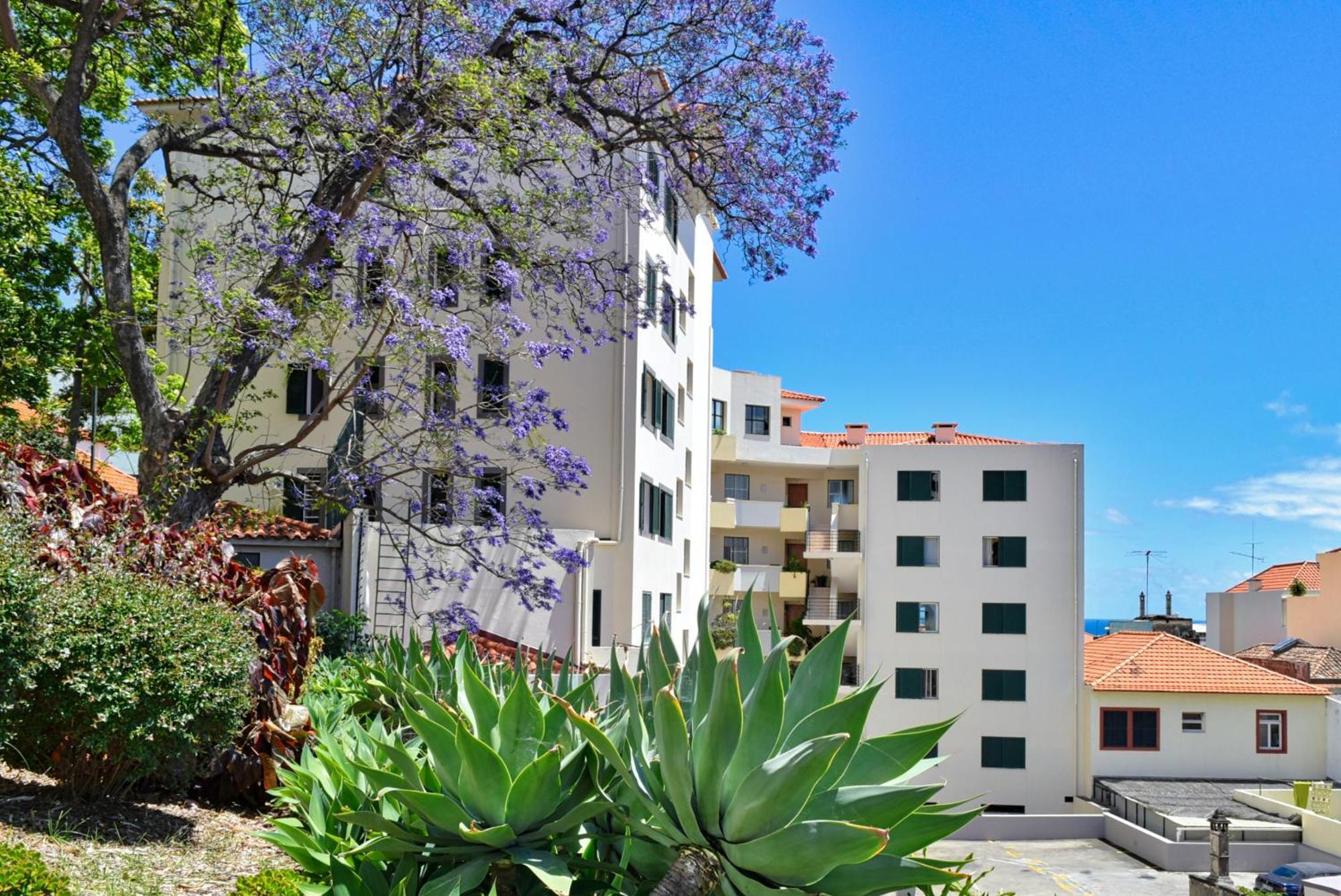 Encarnacao Apartment, A In Madeira