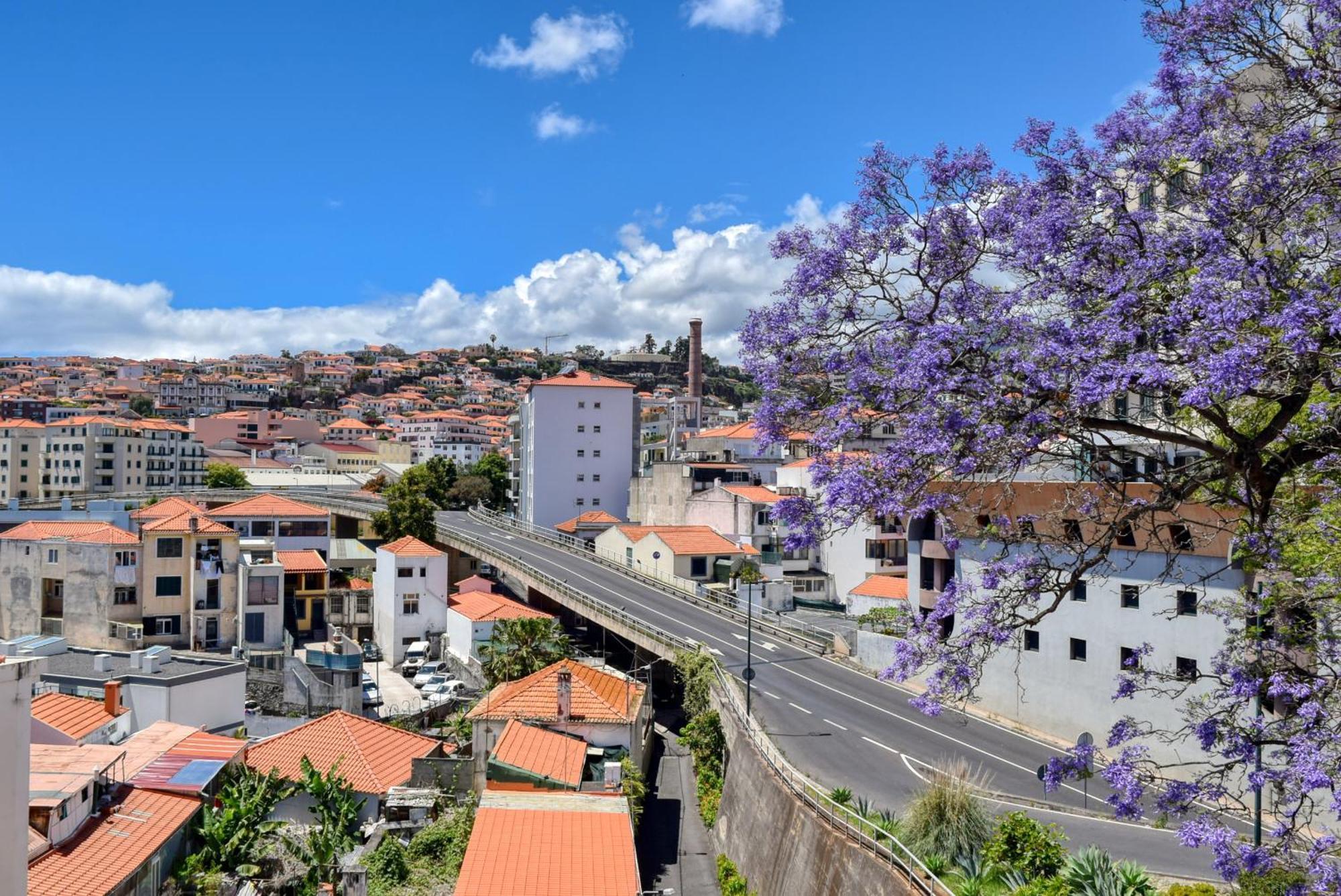 Encarnacao Apartment, A In Madeira Funchal (Madeira)